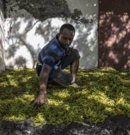 Agricultor em Anjouan: Comores precisa reformar sistema previdenciário como uma das formas de reduzir a pobreza