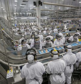 Produção de carne de frango em fábrica no Paraná: exportações do setor tiveram o melhor mês de fevereiro