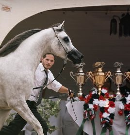 cavalo arabe copa emirados 2025