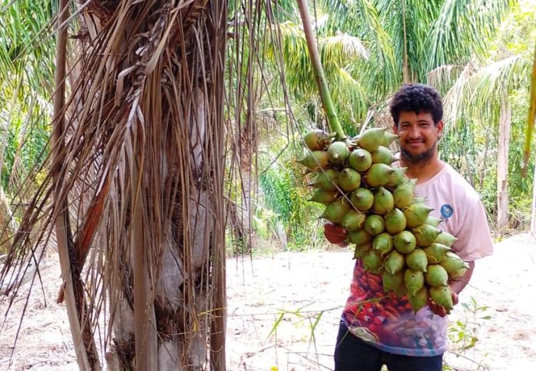 Terços muçulmanos feitos de coco de piaçava Cooperado Gilvan Alves, da Coopafbasul, no trabalho com o coco de piaçava