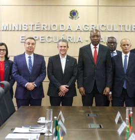 Ministros André de Paula (ao centro) e Mohamed (ao seu lado direito na imagem): conversas sobre cooperação técnica entre os dois países