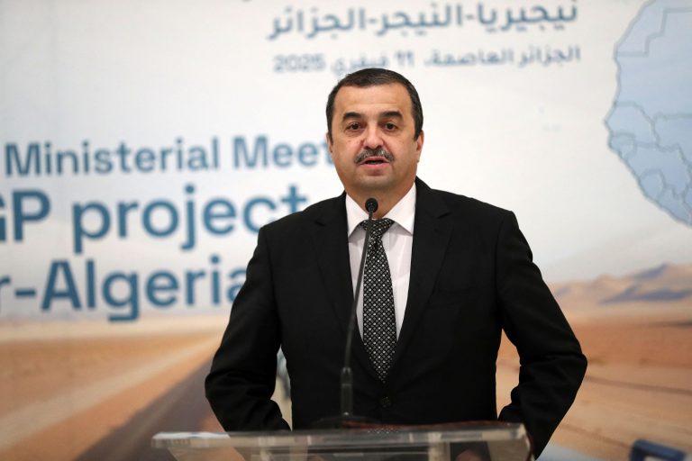 Mohamed Arkad: ministro dos Hidrocarbonetos afirmou que haverá incentivos aos interessados em participar do projeto