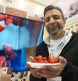 Feira abre portas para morangos e tâmaras do Egito