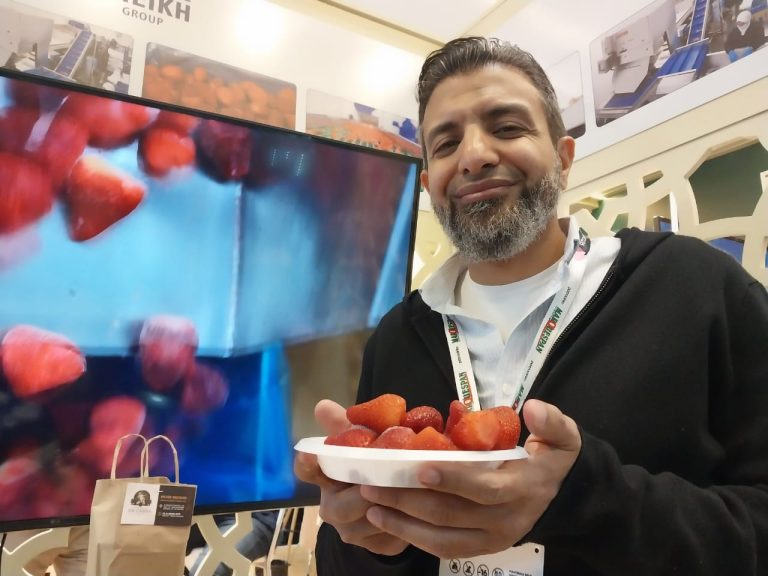 Amr Ali: El Sheikh Group começou a vender morangos ao Brasil neste ano