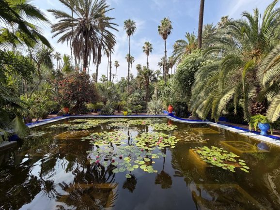 Jardin Majorelle: obra de arte a céu aberto com plantas do mundo inteiro