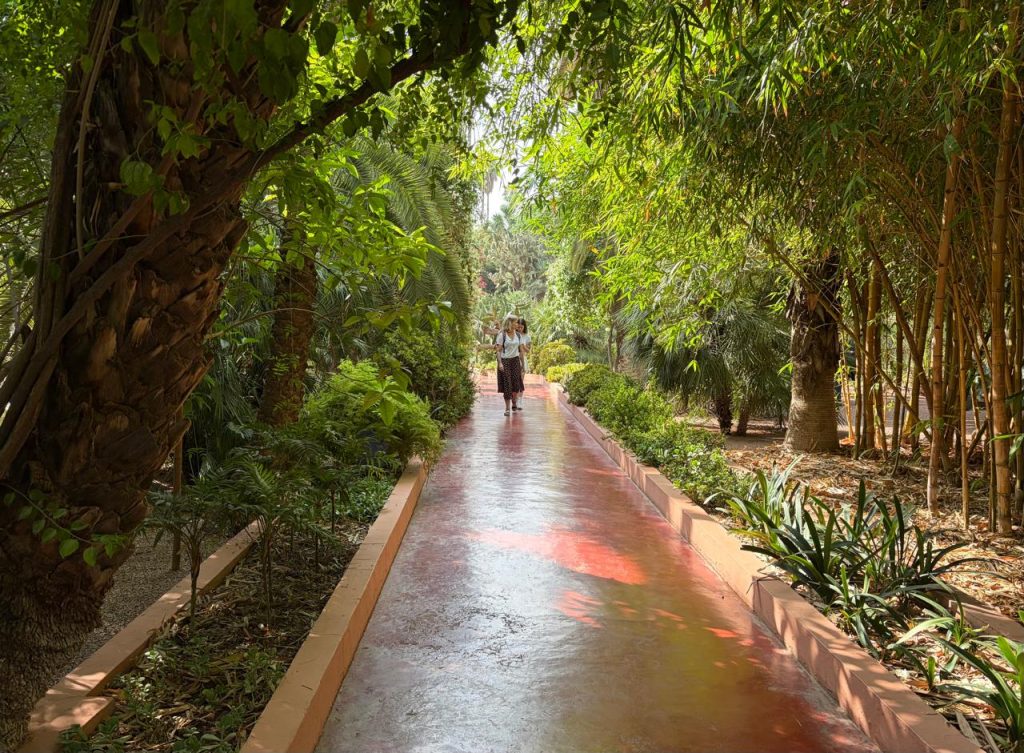 No Jardin Majorelle, plantas que encantaram artistas do século 20