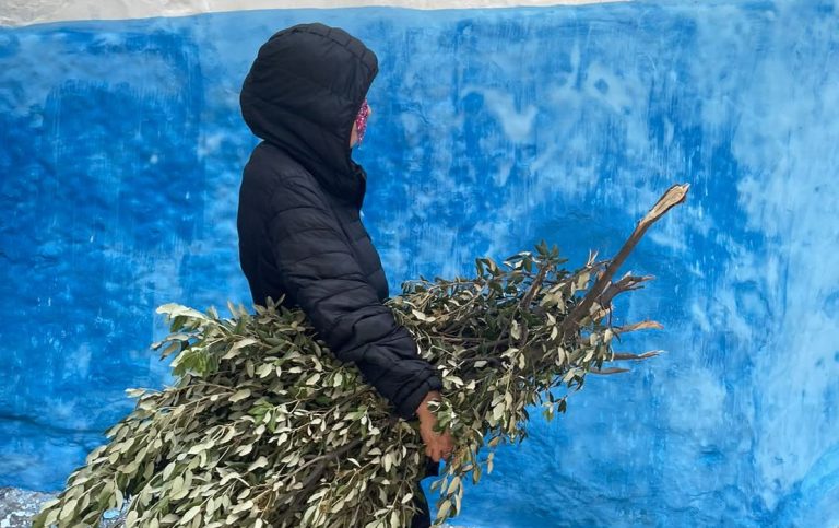 Um Eid al-Adha no Marrocos Nas ruas de Chefchaouen, mulher leva ramos para a festa do sacrifício