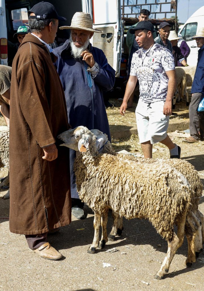 Negociação de animais acontece pelas cidades do Marrocos