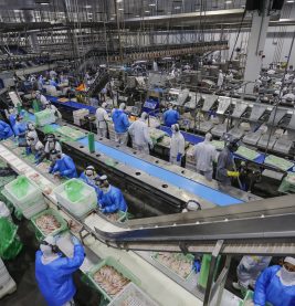 Linha de processamento de carne de frango no Paraná, o principal estado exportador do produto