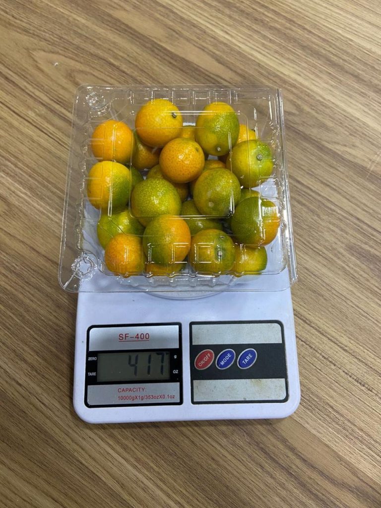 Kinkan (laranjinha japonesa) é uma das frutas exportadas