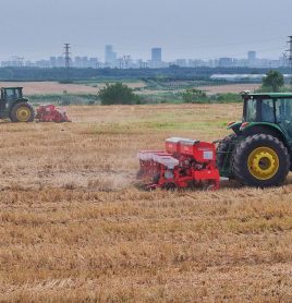 Farmers seize farming season to sow corn in Hefei