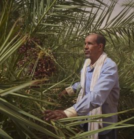 MAURITANIA-CLIMATE-AGRICULTURE