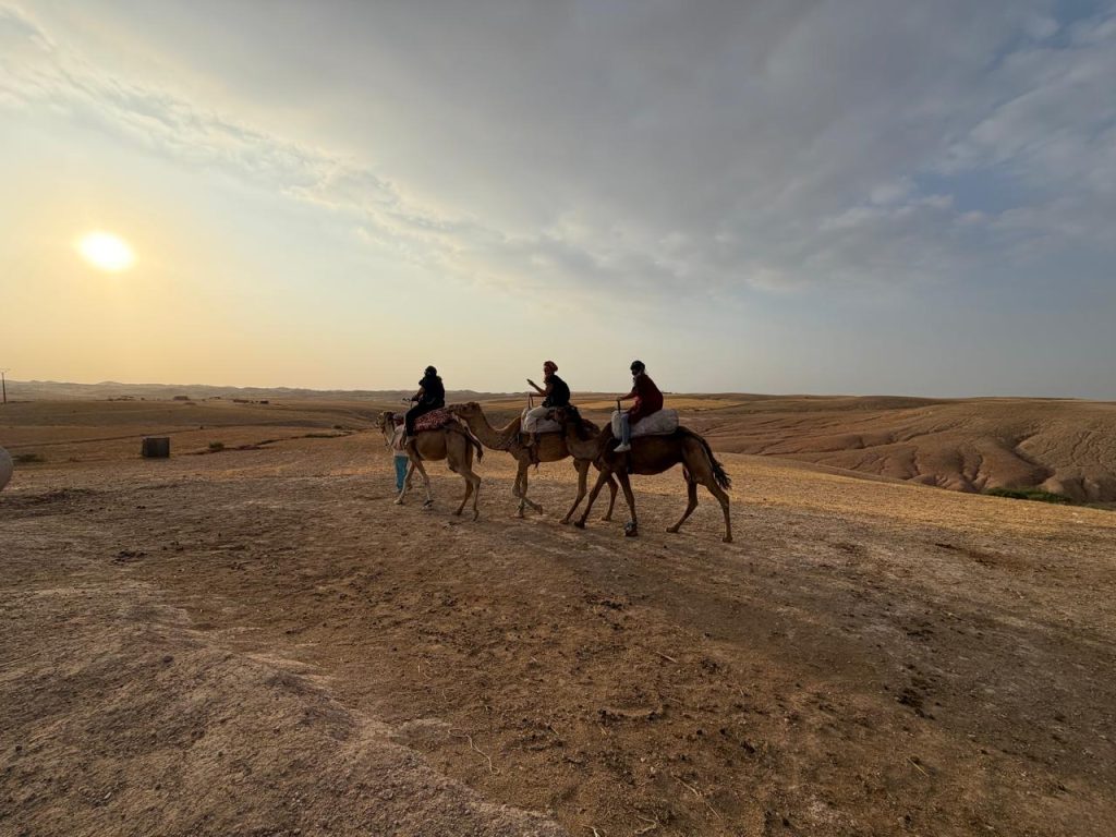 Passeio de camelo é uma das atrações do deserto enquanto o sol se põe