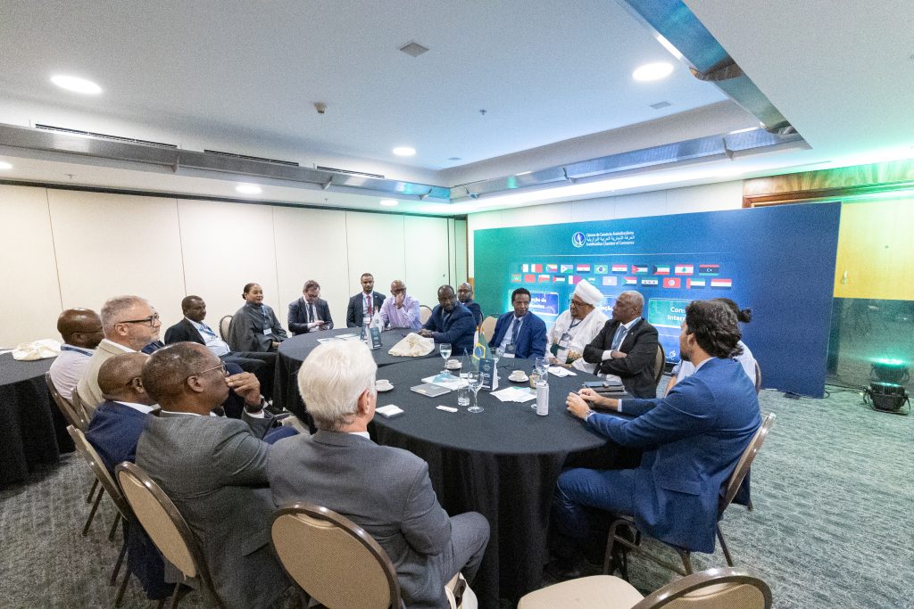 Meeting between Brazilian and Sudanese businesspeople on the sidelines of forum