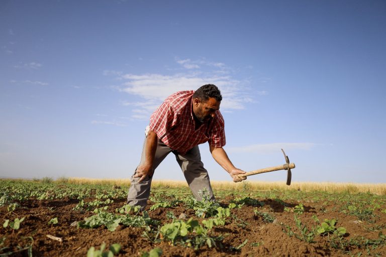 Return of refugees boosts Syrian economy Farmer in the city of Daraa: This year's rainfall is contributing to agricultural production
