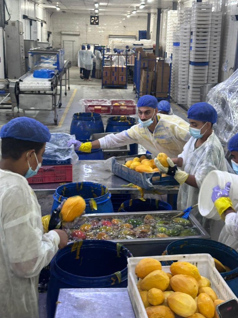 Delegação visitou fábricas de beneficiamento de frutas