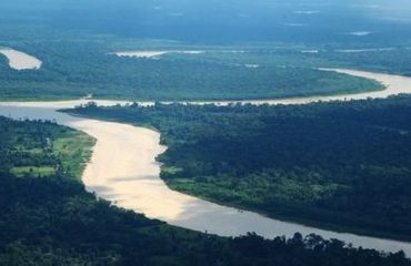 Arabs to undergo forest surveillance training in Brazil