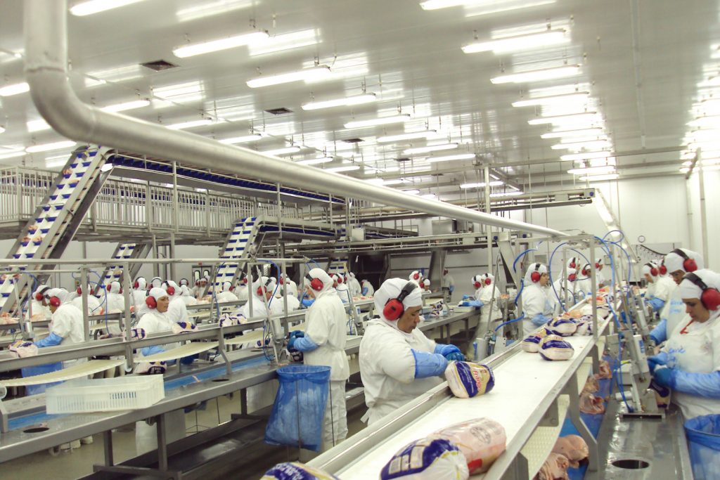 Carne de frango brasileira avança ao Egito