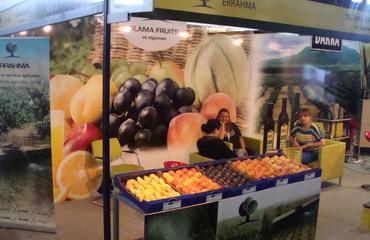 Arab Chamber to exhibit at fair in Tunisia