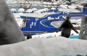 Tourism up 10% in Abu Dhabi, Dubai and RAK