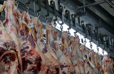 Iraq resumes buying frozen beef from Brazil