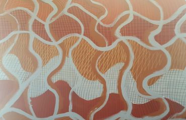 Brazilian holds paintings exhibit in Jordan