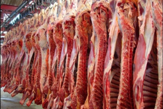 Brazil’s beef exports down in November