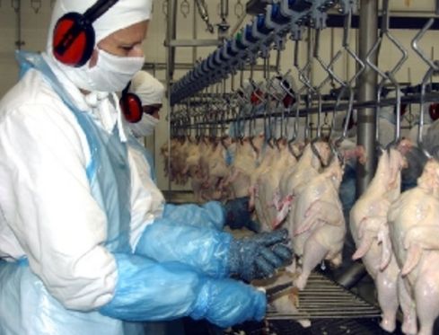 Tyson do Brasil exporta frango verde para sauditas