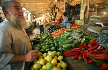 Brazil takes companies to Algeria and Egypt