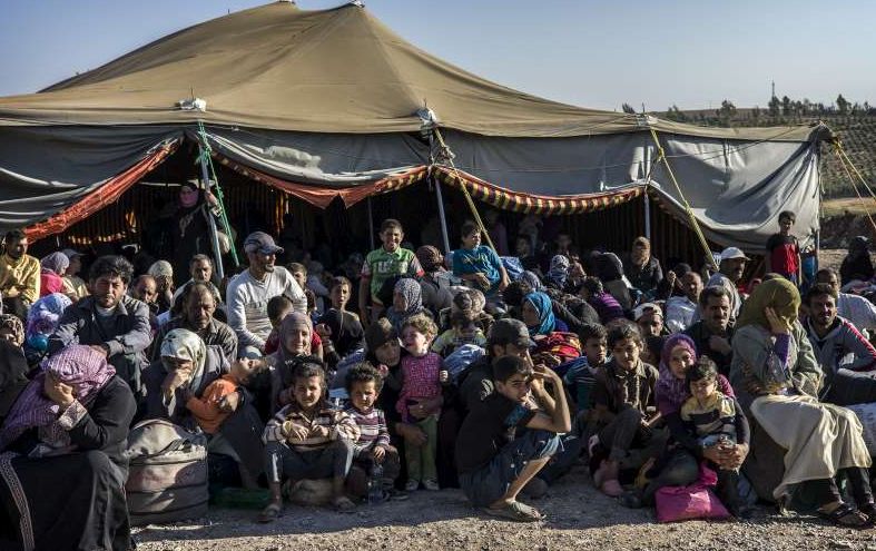 Projeto quer unir famílias sírias pelo celular