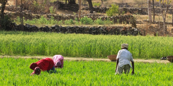 CNPq dá apoio para cooperação com África