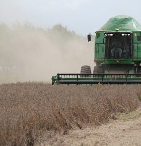 PIB cresce impulsionado pela agropecuária