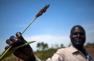Agriculture the theme of 4th Brazil-Africa Forum
