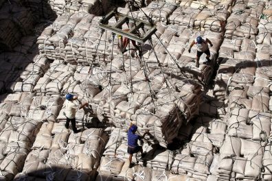 Sugar exports from Brazil up nearly 100%