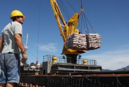 Sugar exports from Brazil more than doubled in October