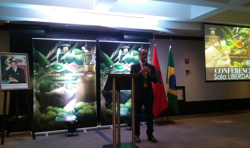 Marrocos quer entrar no mercado de azeite brasileiro