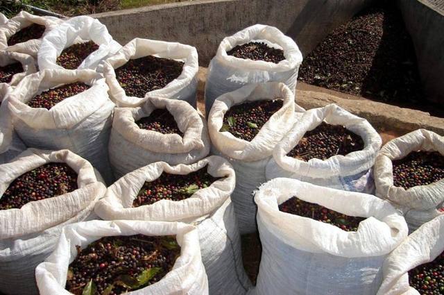 Balança teve superávit de US$ 1,2 bilhão