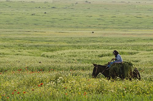 Banco africano empresta US$ 112 milhões ao Marrocos