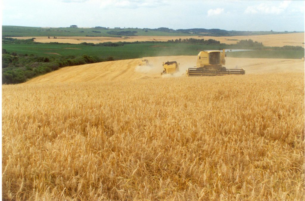 Brazilian economy down by 1.5%, agribusiness grows