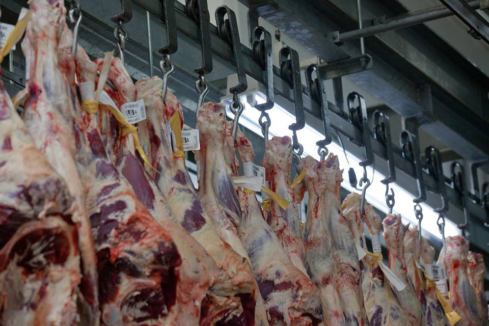 Frigol abre escritório em Dubai