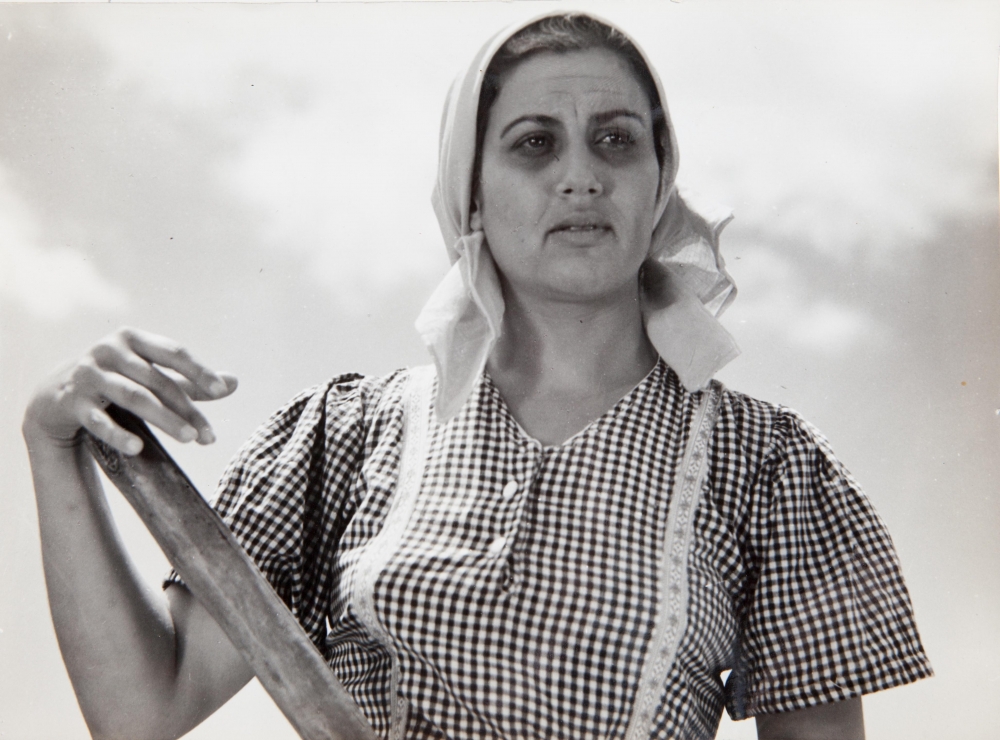 Mostra de cinema árabe começa com tema da imigração