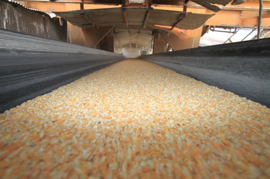 Comércio exterior inicia mês com superávit