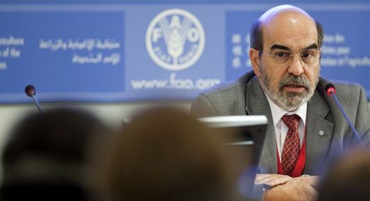 Graziano deve ser reeleito diretor-geral da FAO