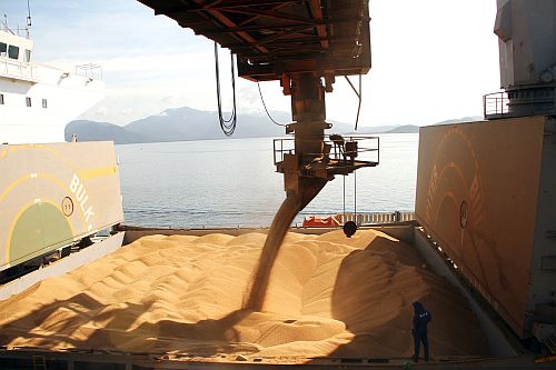 Brasil zera Imposto de Importação do milho