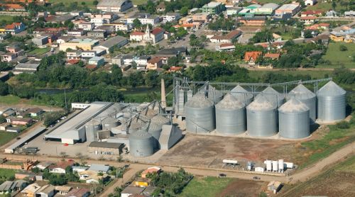 Cooperativa quer vender arroz aos árabes