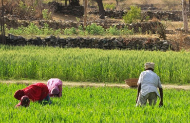 Brazil’s science council to sponsor cooperation with Africa